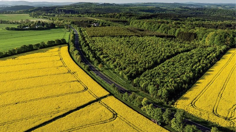 Phân biệt đất thổ cư với đất nông nghiệp