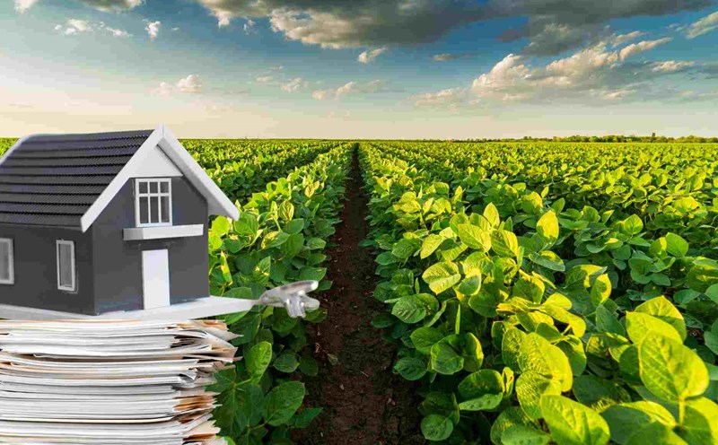 Đất thổ canh là gì? Quy định pháp lý và lưu ý khi mua bán đất thổ canh 3 Đất thổ canh có thể chuyển sang đất thổ cư nếu được cơ quan có thẩm quyền cho phép.