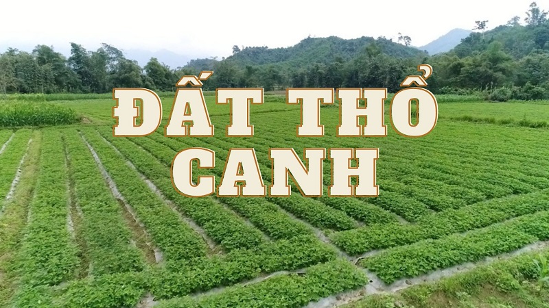 Đất thổ canh là gì? Quy định pháp lý và lưu ý khi mua bán đất thổ canh 1 Đất thổ canh là gì