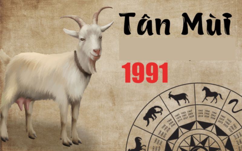 Tân Mùi 1991 hợp hướng nhà nào để đại cát đại lợi?