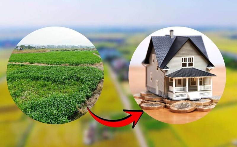 Đất thổ canh là gì? Quy định pháp lý và lưu ý khi mua bán đất thổ canh 4 Thủ tục chuyển đất thổ canh sang đất thổ cư phải được cơ quan nhà nước cho phép.