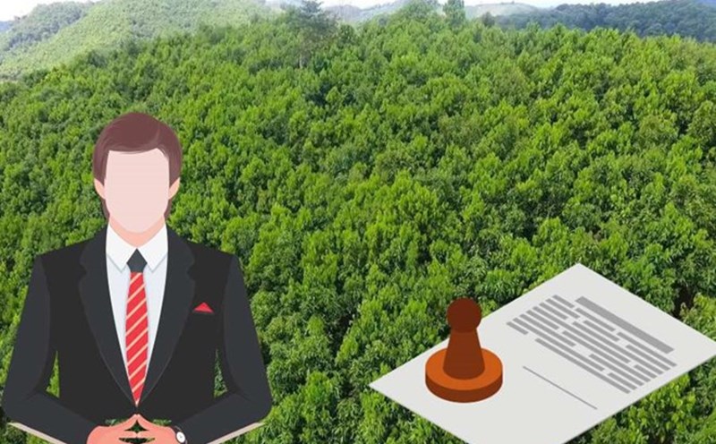 Xác định đúng loại đất để tránh rủi ro khi sử dụng hoặc xây dựng.