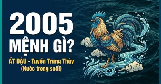 Sinh năm 2005 mệnh gì? Khám phá phong thủy tuổi Ất Dậu năm 2005 2 Người sinh năm 2005 mệnh gì?