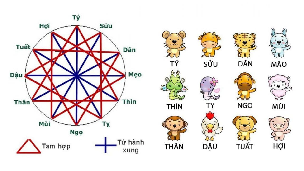 Tam hợp, tứ hành xung là gì? Top 5 điều cần biết về tuổi hợp khắc 2 Khám phá 4 nhóm tam hợp và những nét tính cách đặc trưng của từng nhóm tuổi.
