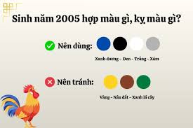 Sinh năm 2005 mệnh gì? Khám phá phong thủy tuổi Ất Dậu năm 2005 3 Màu sắc phong thủy hợp và kỵ cho tuổi Ất Dậu 2005