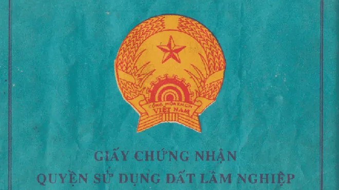 Sổ xanh là sổ gì? Phân biệt sổ xanh, sổ đỏ và sổ hồng từ A-Z 2 Sổ xanh là giấy chứng nhận quyền sử dụng đất lâm nghiệp.
