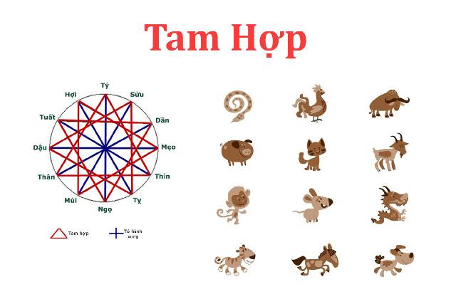Tam hợp, tứ hành xung là gì? Top 5 điều cần biết về tuổi hợp khắc 1 Tam hợp là nhóm 3 con giáp có sự hòa hợp về tính cách và vận khí.