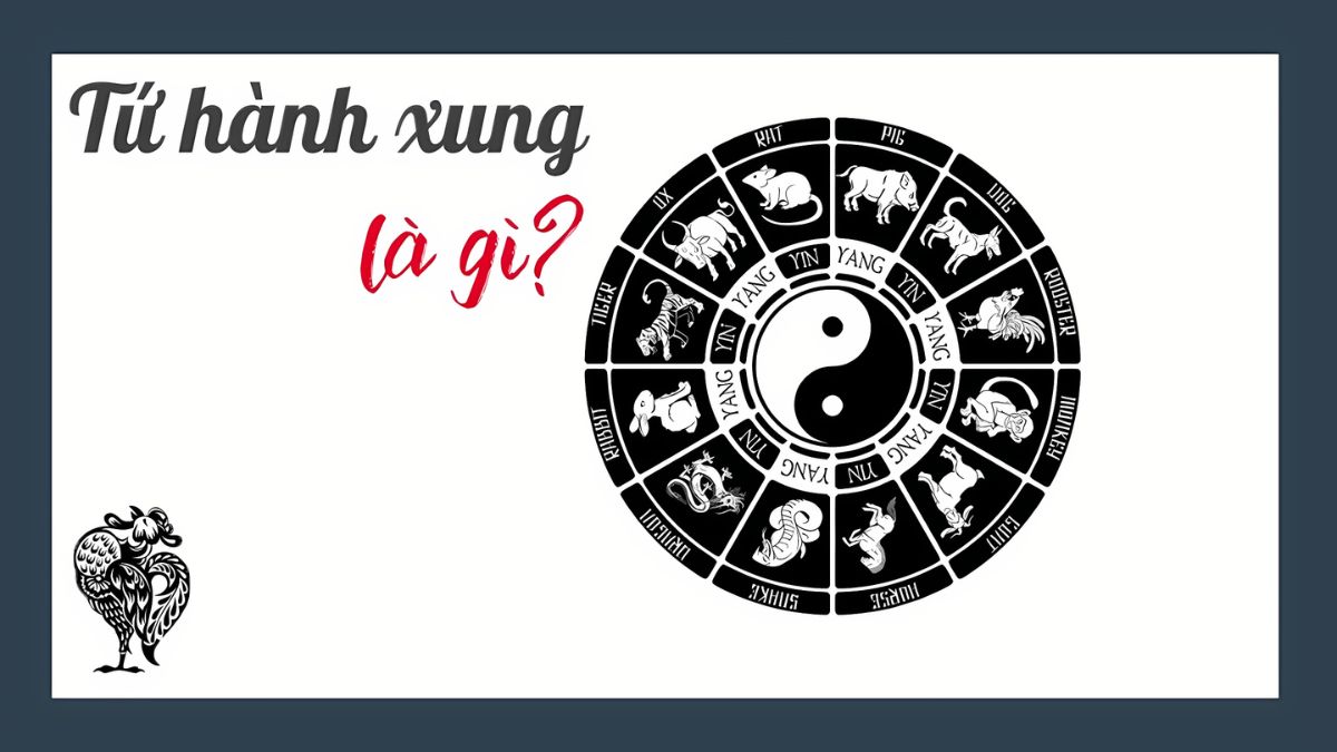 Tam hợp, tứ hành xung là gì? Top 5 điều cần biết về tuổi hợp khắc 3 Tìm hiểu tứ hành xung và cách nhận biết các nhóm tuổi xung khắc đơn giản, dễ nhớ.